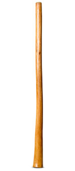 Gloss Finish Didgeridoo (TW1169)